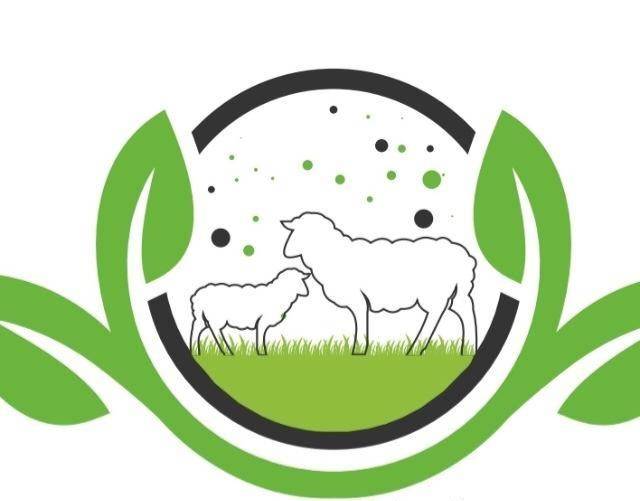 شعار مؤسسة أنعام الريف للتسويق  الالكتروني