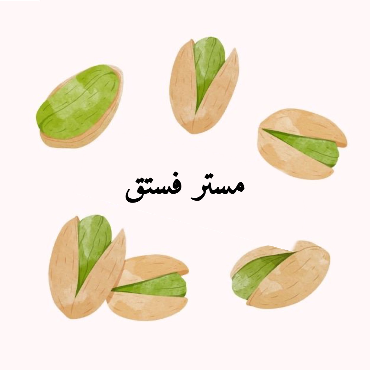 شعار مستر فستق