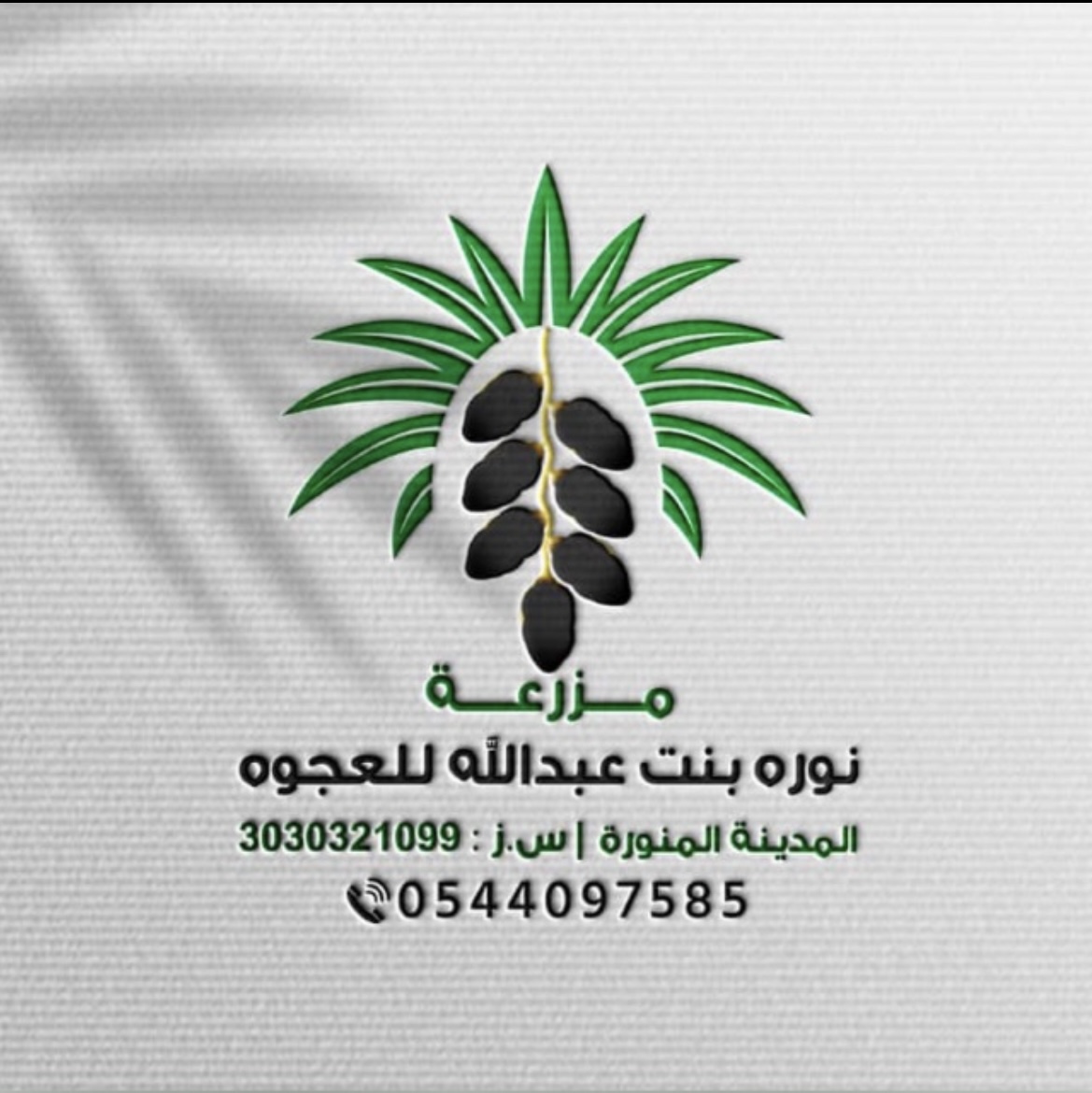 شعار مزرعة نوره بنت عبدالله للعجوه